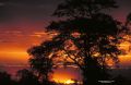 IMG0029 South Africa Sunset 2400629 O