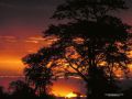 IMG0029 South Africa Sunset 2400629 O